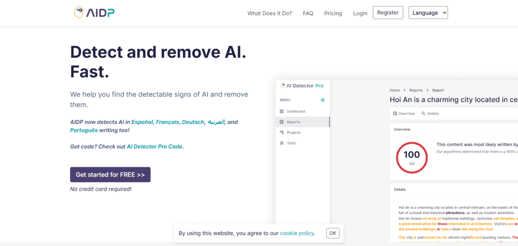 AI Detector Pro Overview - SEO With AI